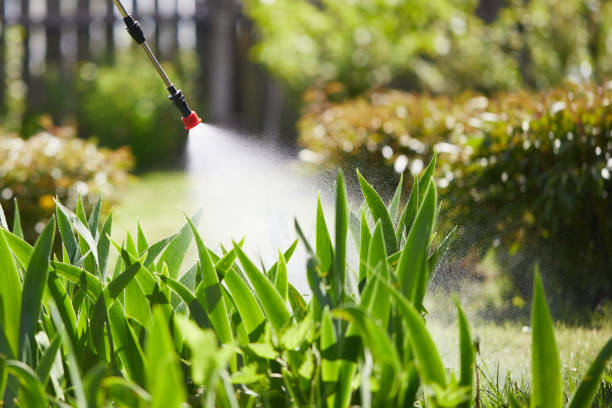 24/7 Emergency Termite Control experts in Fort Pierre, SD